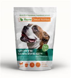 Dog food best sale for gi