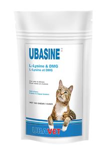 Cat food 2024 with lysine