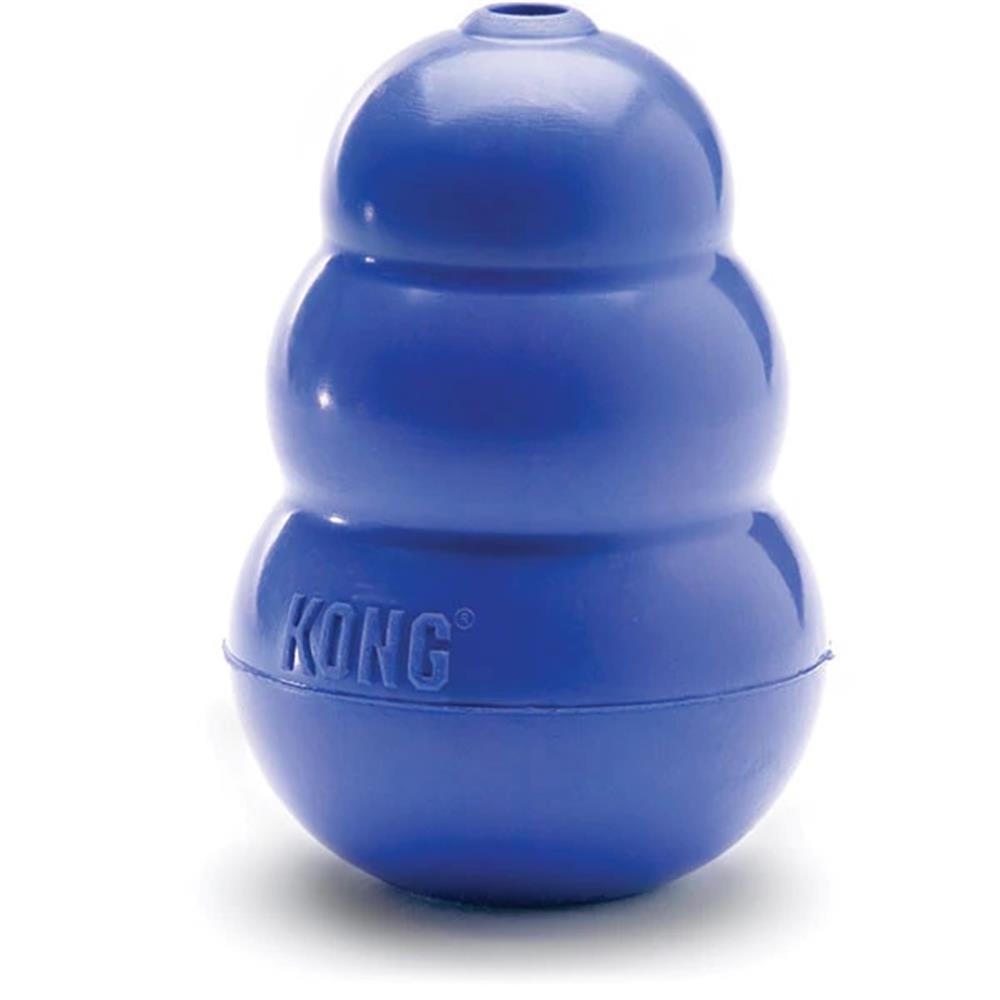 Kong blue sale dog toy